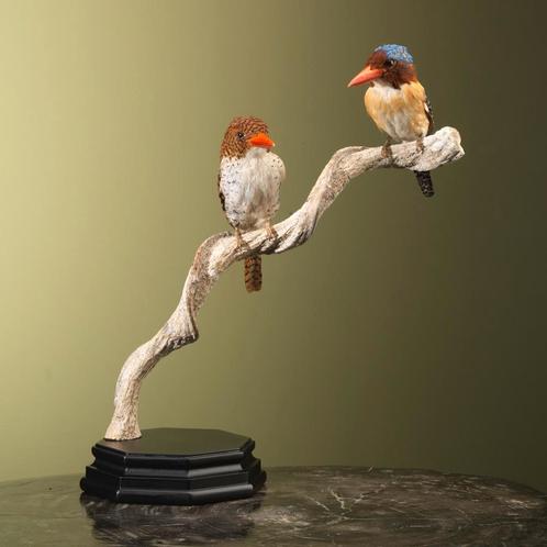 Zebra-IJsvogel Koppel Taxidermie Opgezette Dieren By Max, Verzamelen, Dierenverzamelingen, Opgezet dier, Nieuw, Vogel, Ophalen of Verzenden