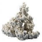 Rifkeramiek Minirif 40cm, Ophalen of Verzenden, Nieuw