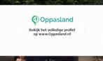 Ik ben Manuel en ik zoek oppaswerk in Gemert., Diensten en Vakmensen, Oppas en Kinderopvang