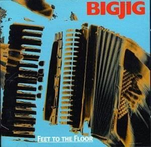 cd - Bigjig - Fall to the Floor, Cd's en Dvd's, Cd's | Overige Cd's, Zo goed als nieuw, Verzenden