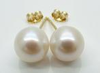 Zonder Minimumprijs - Oorstekers - 14 karaat Geel goud Parel, Sieraden, Tassen en Uiterlijk, Antieke sieraden