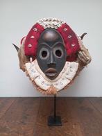 Dan - Ivoorkust (Zonder Minimumprijs)