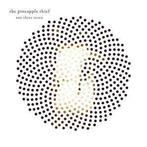 LP gebruikt - The Pineapple Thief - One Three Seven, Verzenden, Zo goed als nieuw