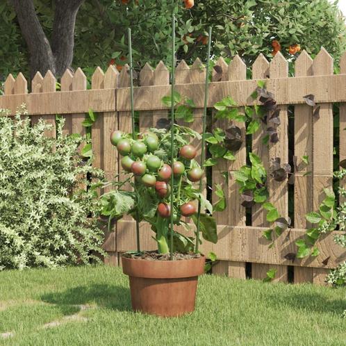 vidaXL Plantensteunen 5 st met 3 ringen 60 cm staal groen, Tuin en Terras, Bloembakken en Plantenbakken, Nieuw, 60 cm of meer