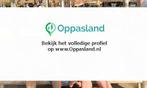 Anne zoekt een oppas in Eemnes voor 2 kinderen op dinsdag..., Vacatures