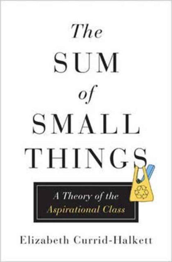 The Sum of Small Things 9780691162737, Boeken, Taal | Engels, Zo goed als nieuw, Verzenden