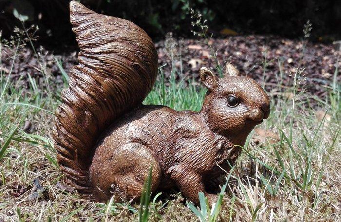 Beeldje - Squirrel - Brons, Antiek en Kunst, Kunst | Designobjecten