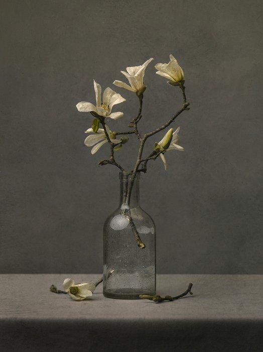 Tessa Posthuma de Boer - Magnolia no.2, Antiek en Kunst, Kunst | Designobjecten