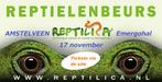 Reptilica reptielenbeurs AMSTELVEEN 17 november, Dieren en Toebehoren, Reptielen en Amfibieën