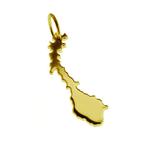 Gouden Landkaart Noorwegen ketting hanger, Verzenden, Nieuw