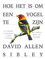 Hoe het is om een vogel te zijn 9789024595143, Boeken, Verzenden, Zo goed als nieuw, David Allen Sibley