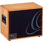 Ortega S-two 150W akoestische gitaarspeakerkast, Verzenden, Nieuw
