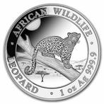 Somalia Leopard 1 oz 2021 (30.000 oplage), Postzegels en Munten, Munten | Afrika, Zilver, Losse munt, Overige landen, Verzenden