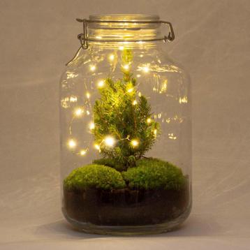 DIY terrarium - Jar Christmas -  28 cm beschikbaar voor biedingen