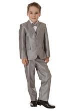 Luxe jongens kostuum glimmend lichtgrijs- 92 NIEUW, Kinderen en Baby's, Kinderkleding | Maat 92, Nieuw, Jongen, Ophalen of Verzenden