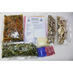 Indian Summer - Globetrotter