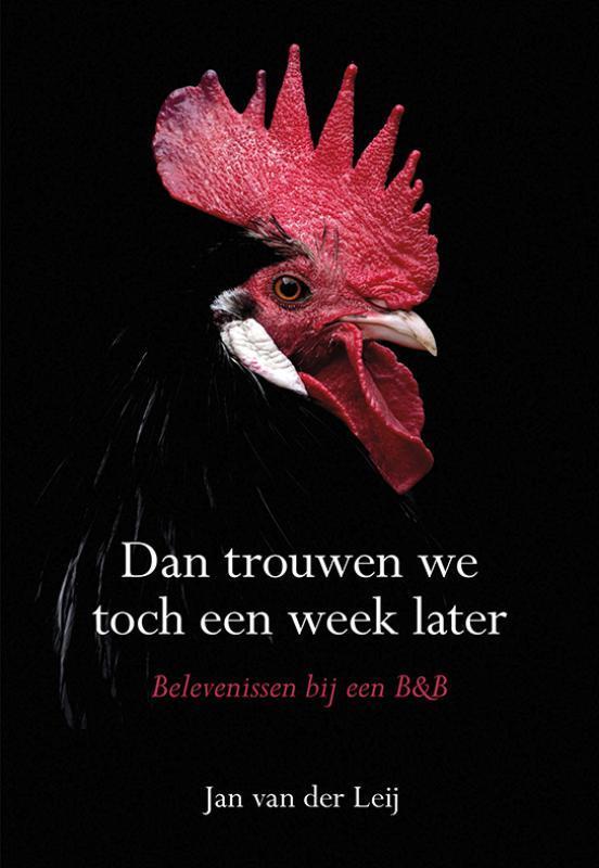 Dan trouwen we toch een week later 9789463651288, Boeken, Reisverhalen, Zo goed als nieuw, Verzenden