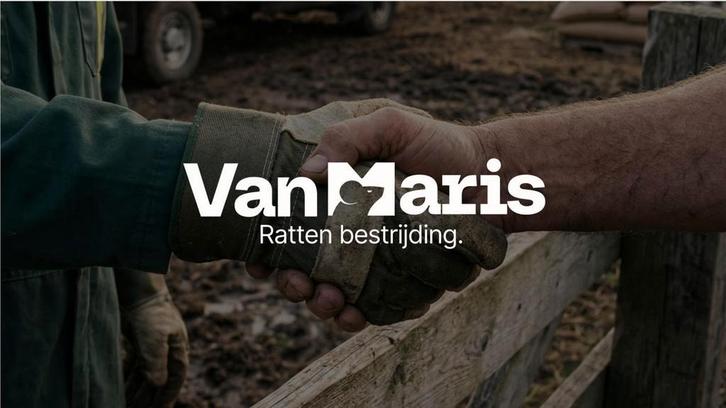 Ratten bestrijding van Maris  in Brabant en Limburg, Diensten en Vakmensen, Ongediertebestrijding, Muizen of Ratten