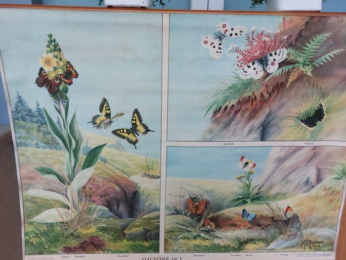 Nils Tiren (1885-1935) - Idums Tryckeri Aktiebolag ,, Antiek en Kunst, Kunst | Tekeningen en Foto's