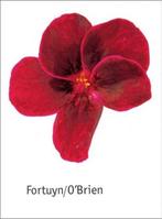 Fortuyn/OBrien | WPG BE DBBA/Ludion/Lido | 9789076588063, Zo goed als nieuw