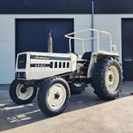 Landbouwtrekker, LAMBORGHINI, 654, 1978, Zakelijke goederen, Agrarisch | Tractoren, Nieuw
