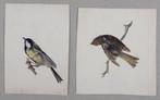 Alexandre Guelle - Oiseaux #1, Antiek en Kunst