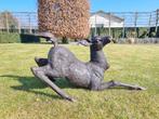 sculptuur, Levensecht hert - 38 cm - Brons, Antiek en Kunst