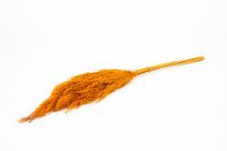 Actie wilde rietpluimen oranje 75 cm bundel +/- 10 st, Hobby en Vrije tijd, Knutselen, Nieuw, Ophalen of Verzenden