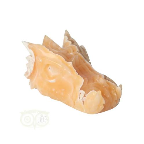 Calciet DRAAK draken schedel Nr 267- 290 gram, Sieraden, Tassen en Uiterlijk, Edelstenen, Nieuw, Verzenden