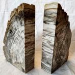 sculptuur, book holders - 6 cm - Fossiel Hout., Verzamelen, Nieuw