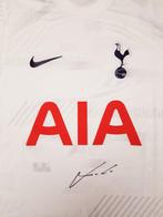 Tottenham Hotspur - Football (Soccer) - Luka Modric -, Nieuw