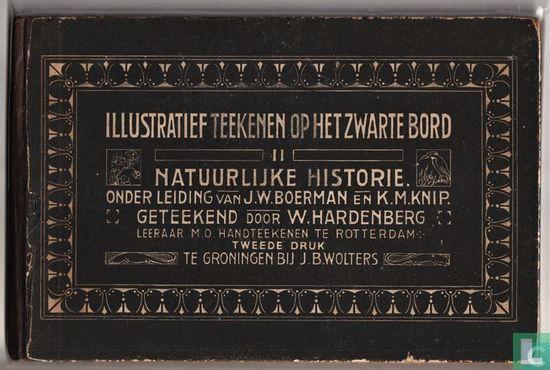 Boerman, J.W. - Illustratief teekenen op het zwarte bord..., Boeken, Schoolboeken, Gelezen, Verzenden
