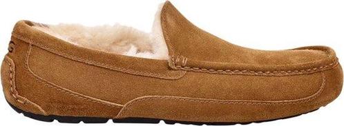 UGG ASCOT Heren Slippers - Chestnut - Maat 42 (Mode), Kleding | Heren, Schoenen, Nieuw, Verzenden