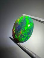 Natuurlijke zwarte opaal uit Ethiopië. 2,70 karaat. Geen, Verzamelen, Mineralen en Fossielen