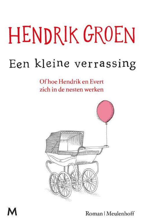 Een kleine verrassing, of Hoe Hendrik en Evert zich in de, Boeken, Romans, Zo goed als nieuw, Verzenden