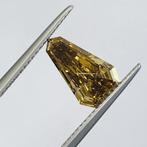 1 pcs Diamant (Natuurlijk) - 1.54 ct - Schild - P1 -, Nieuw