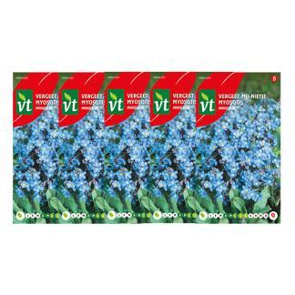 Bloemzaden vergeet-mij-nietje | VT | 5 stuks (Blauw), Tuin en Terras, Bloembollen en Zaden, Verzenden