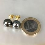 Oorbellen - 18 karaat Geel goud Parel - Tahiti rond Ø, Sieraden, Tassen en Uiterlijk, Oorbellen, Nieuw