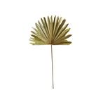 *palmblad tak gedroogd 96cm*, Huis en Inrichting, Woonaccessoires | Overige, Verzenden, Nieuw