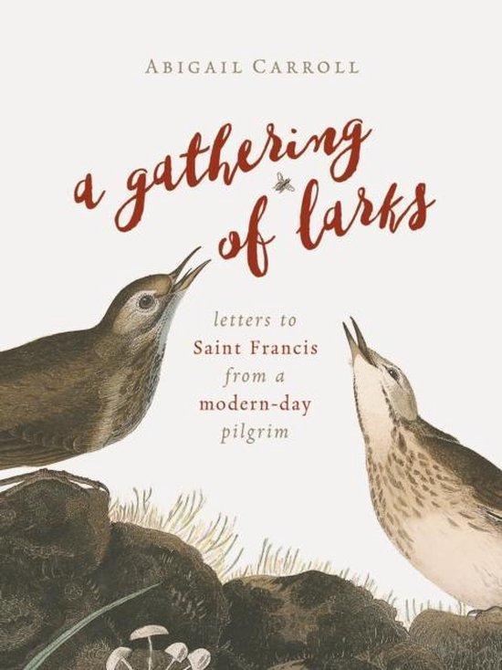 Gathering of Larks 9780802874450 Abigail Carroll, Boeken, Taal | Engels, Gelezen, Verzenden