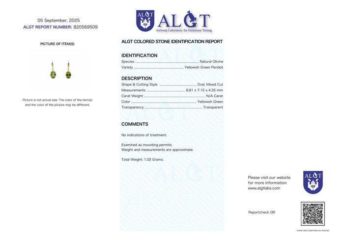 Zonder Minimumprijs - Oorbellen - 18 karaat Geel goud, Sieraden, Tassen en Uiterlijk, Oorbellen