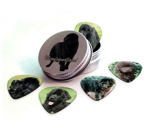 Blikje + plectrums met afbeelding van Newfoundlander hond, Verzamelen, Overige Verzamelen, Nieuw, Ophalen of Verzenden