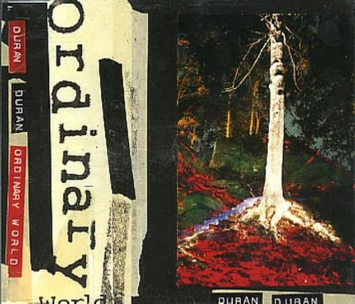 cd single - Duran Duran - Ordinary world, Cd's en Dvd's, Cd Singles, Zo goed als nieuw, Verzenden