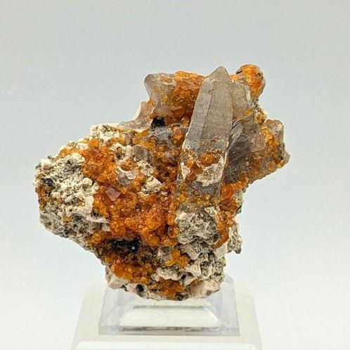 SPESSARTINE, rookkwarts bedekt met granaat Kristallen op, Verzamelen, Mineralen en Fossielen
