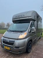 Prachtige Citroën paardenwagen met degelijke en ruime opbouw, Dieren en Toebehoren, Paarden en Pony's | Trailers en Aanhangwagens
