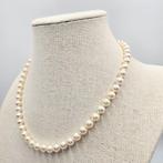 Zonder minimumprijs - Halsketting Zilver Parel - Akoya 7,5, Nieuw