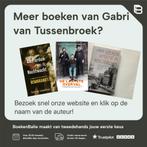 De toren van de Gouden Eeuw 9789044634785, Boeken, Verzenden, Gelezen, Gabri van Tussenbroek
