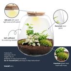Planten terrarium - Emma - DIY kit -  25 cm - Ø 23 cm - Hed, Tuin en Terras, Verzenden