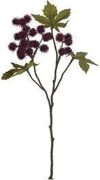 Ricinus castor oil spray dry colour burgundy zijden 43 cm, Huis en Inrichting, Ophalen of Verzenden, Nieuw