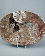 Schaal met centrale Amoniet - Een uniek handgemaakt